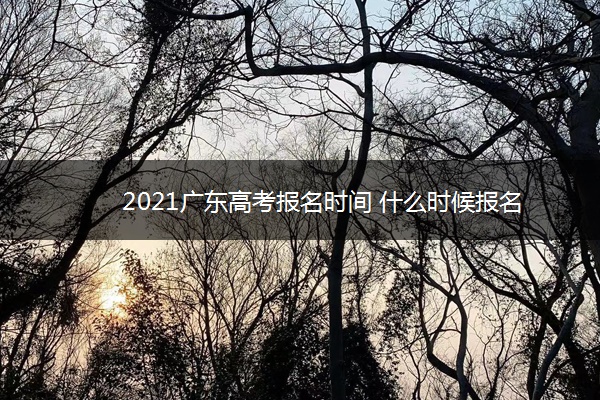 2021广东高考报名时间 什么时候报名