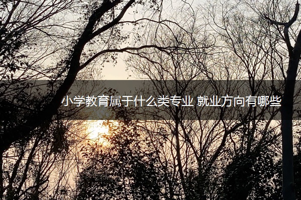 小学教育属于什么类专业 就业方向有哪些