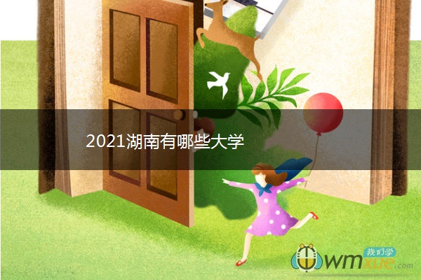 2021湖南有哪些大学
