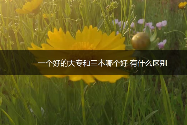 一个好的大专和三本哪个好 有什么区别