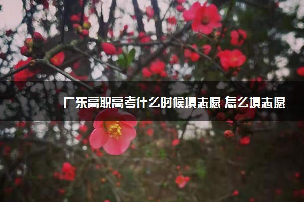 广东高职高考什么时候填志愿 怎么填志愿