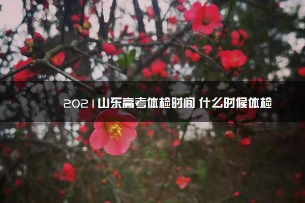 2021山东高考体检时间 什么时候体检