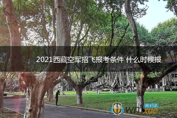 2021西藏空军招飞报考条件 什么时候报名